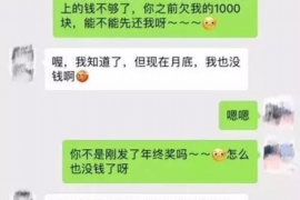 恶搞愤怒的元首讨债:一场另类的债务追讨大战 恶搞愤怒的元首讨债:一场另类的债务追讨大战